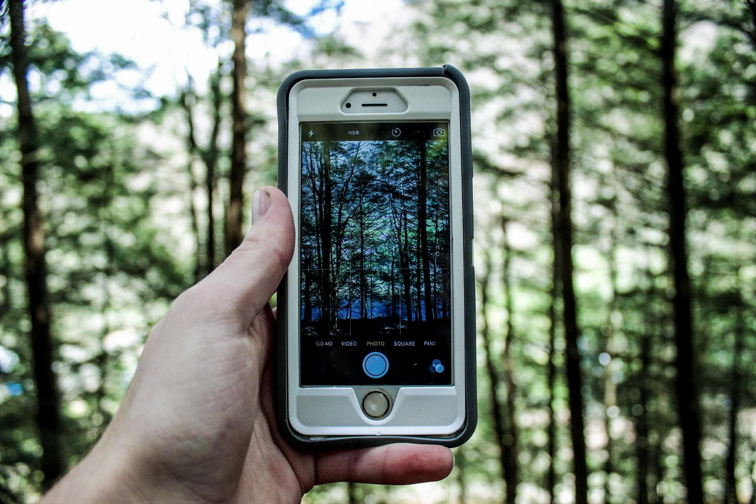 Persona utilizando el modo profesional de la cámara de un smartphone para fotografiar un bosque, mostrando la cuadrícula de composición y ajustes de HDR. Persona utilizando el modo profesional de la cámara de un smartphone para fotografiar un bosque, mostrando la cuadrícula de composición y ajustes de HDR.