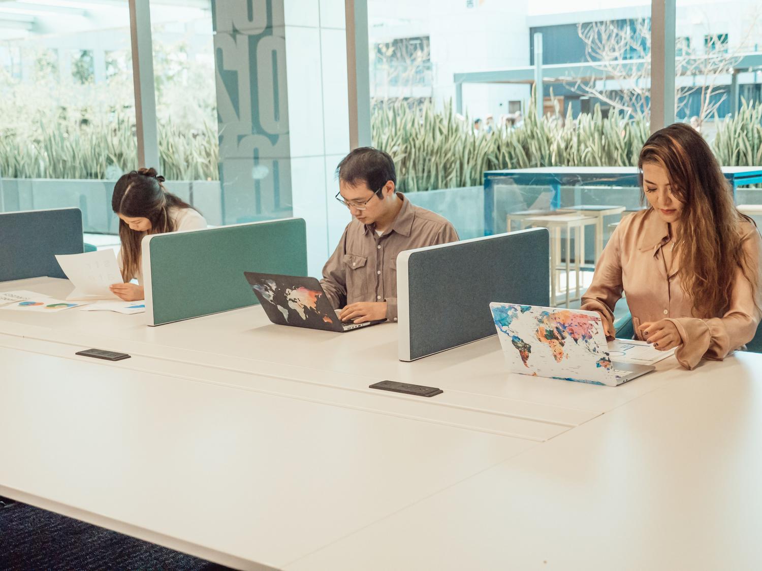 Equipo de profesionales trabajando en una oficina moderna y luminosa con laptops, ilustrando la gestión de cuentas corporativas y entornos empresariales. Equipo de profesionales trabajando en una oficina moderna y luminosa con laptops, ilustrando la gestión de cuentas corporativas y entornos empresariales.